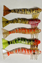Load image into Gallery viewer, 5 x Kevlar Live Shrimp / Prawns