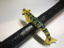 Load image into Gallery viewer, 5 x 90mm Kevlar Live Shrimp Elaz-tec Soft Plastic Prawns