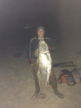 Load image into Gallery viewer, 5x QUALITY Weighted Slide Bait Rigs - Live/dead bait sliding, BIG baits = BIG fish