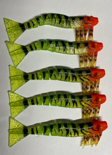 Load image into Gallery viewer, 5 x Kevlar Live Shrimp / Prawns
