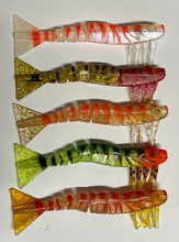 Load image into Gallery viewer, 5 x Kevlar Live Shrimp / Prawns

