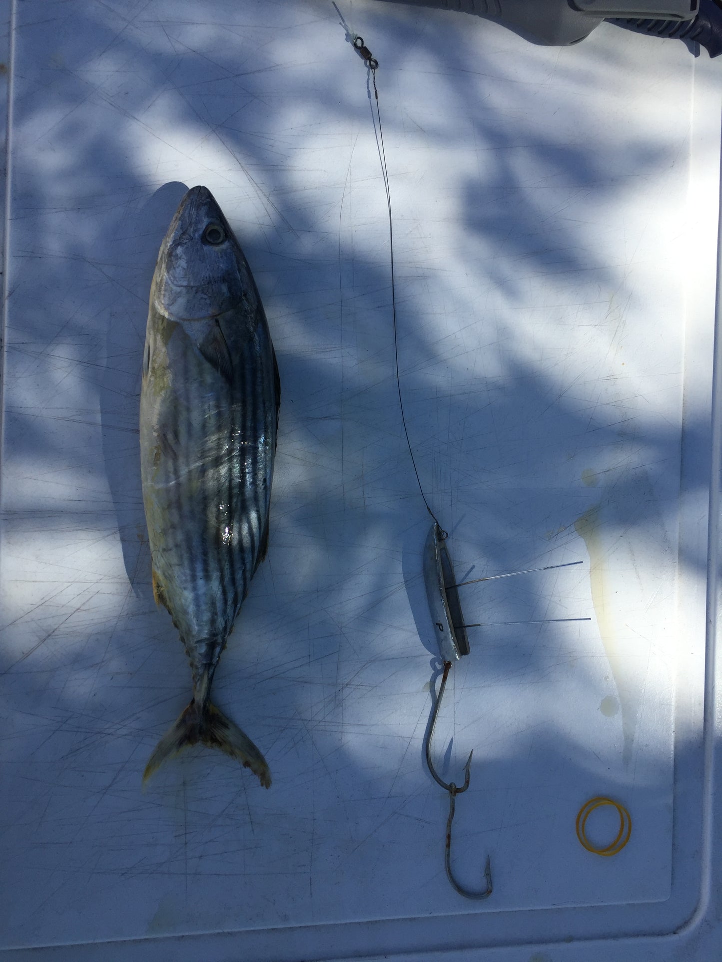 85g Tight Lines Trolling Chin Guard / Bait Keel - Pelagic - Mackerel, GT, Shark- 4 pack